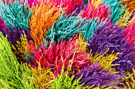 Dry grass is dyed in different colors の写真素材