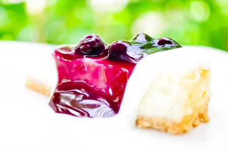 A delicious piece of blueberry cheese cake. Placed on a white plate.の写真素材