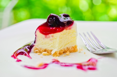 A delicious piece of blueberry cheese cake. Placed on a white plate.の写真素材