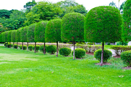 Ornamental gardens, palaces and old pine tree trim の写真素材