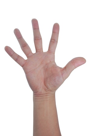Five fingers palm of hand,  Isolated on a white background.の写真素材