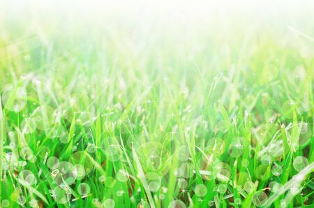 Abstract background. That have a stars and bokeh components.の写真素材