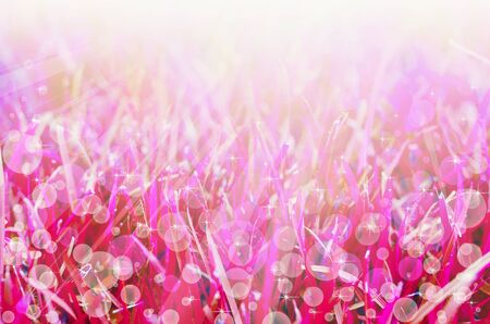 Abstract background. That have a stars and bokeh components.の写真素材