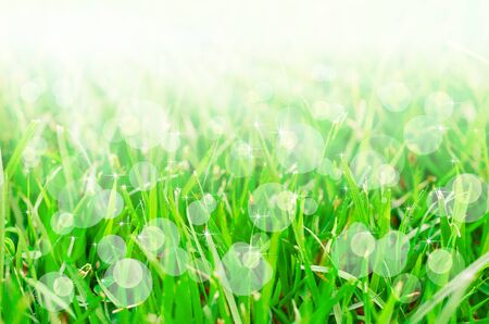 Abstract background. That have a stars and bokeh components.の写真素材