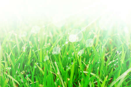 Abstract background. That have a stars and bokeh components.の写真素材