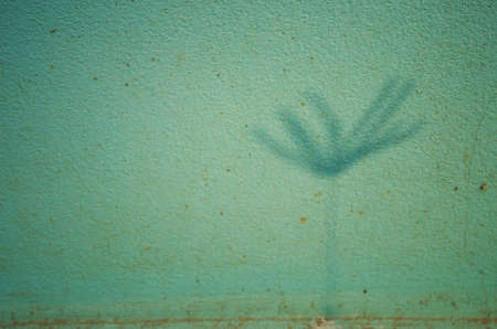 Silhouette of grass on the green wall の写真素材