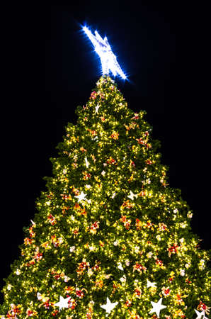Christmas tree decorated with lights and Christmas balls. At night.の写真素材