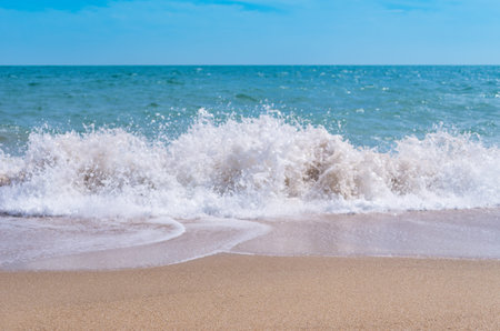 Tropical beach and sea for a backdrop.の写真素材