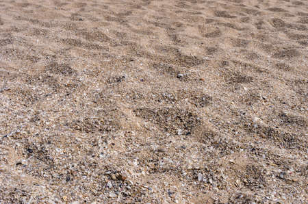 Footprints on sand beach along the sea.の写真素材