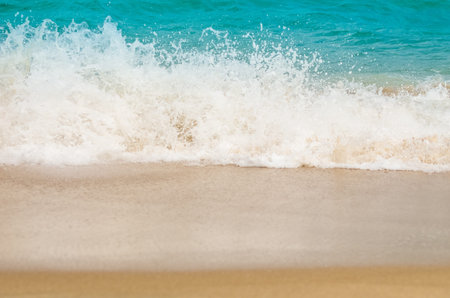 Tropical beach and sea for a backdrop.