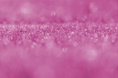 Spring or summer abstract nature background with grass in the meadowの写真素材