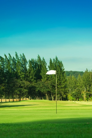 The trees and green grass on a golf course.の写真素材