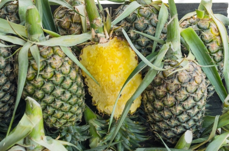 Pineapple arranged in a row. The results show that there is one flesh peeling.の写真素材