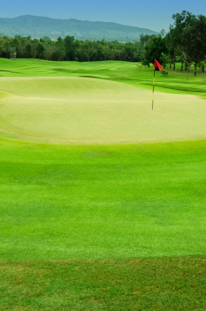 The trees and green grass on a golf course の写真素材