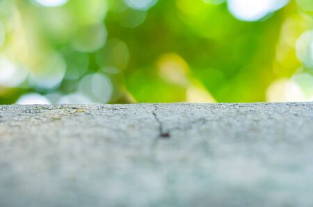 Natural green bokeh abstract light for backgroundの写真素材
