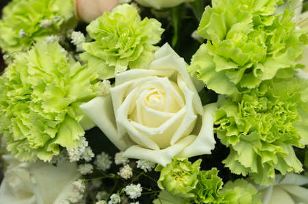 Fresh roses have several sizes to choose from in the market の写真素材