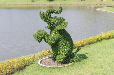 The Bending tree of elephant  in the park.の写真素材