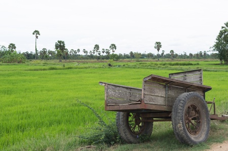 Truck farmers. Parked along the road next to rice fields.の写真素材