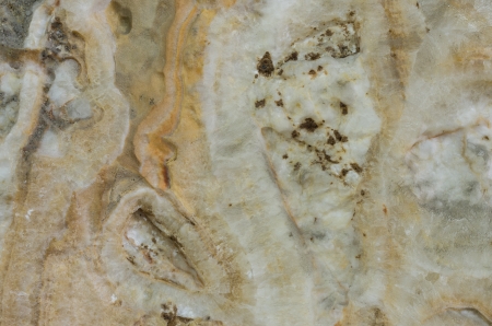Stone background closeup texture. Focus on the pattern of the surface.の写真素材
