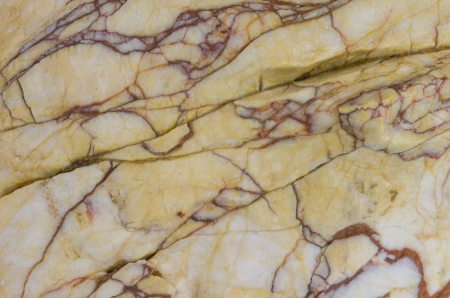 Stone background closeup texture. Focus on the pattern of the surface.の写真素材