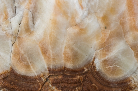 Stone background closeup texture. Focus on the pattern of the surface.の写真素材