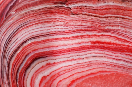 Stone background closeup texture. Focus on the pattern of the surface.の写真素材