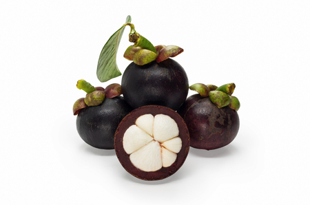 Mangosteen and cross section showing the thick purple skin and white flesh of the queen of friuts.の写真素材