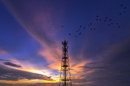 Silhouettes Telecommunication tower evening sky beautiful birds flying.の写真素材