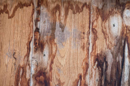 Background and texture from old wooden, with water stains on the walls.の写真素材