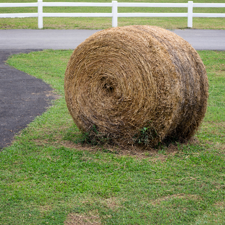 Large straw bales on the grass on the farm.の写真素材