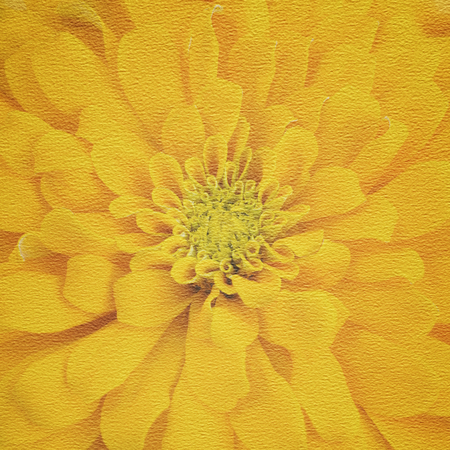 Textured paper with marigold pattern for the background.の写真素材