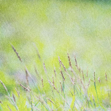 Textured paper with green grass の写真素材