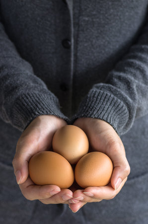 Fresh organic eggs on the hands of farmers.