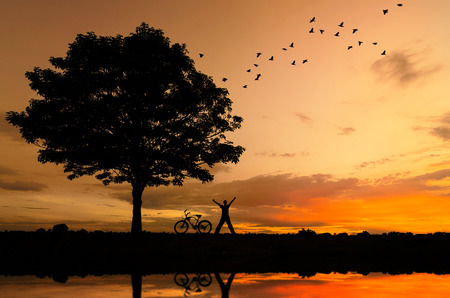 Silhouette of trees, people and bicycles and birds flying, stunning evening sky.の写真素材