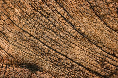 Abstract texture old wooden floor for background.の写真素材