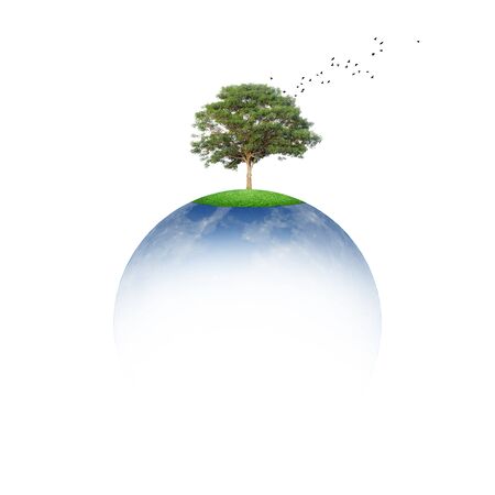 Save the earth concept, with the tree on the blue orb. And birds that fly Isolated on white background with clipping path.の写真素材