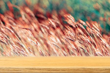 Wooden table top with background blur - can be used for display or editing of your product.の写真素材