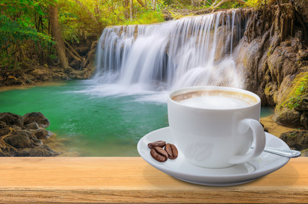 Coffee cup on the table with a natural backdrop.の写真素材