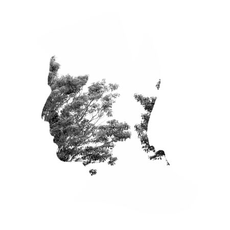 Double exposure illustration, man silhouette with tree.の写真素材