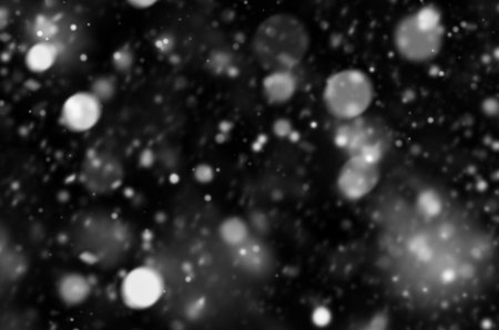 Abstract black white snow texture on black background for overlay.の写真素材
