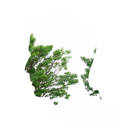 Double exposure illustration, man silhouette with tree.の写真素材