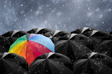 Umbrella in mass of black umbrellas.の写真素材