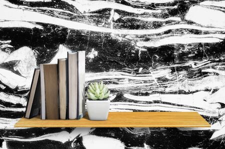 Top wooden shelves with cactus and marble wall background - For product display.の写真素材