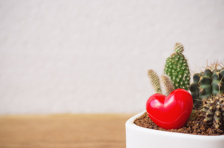 Heart and cactus in white pot on desk with the background blurred.の写真素材