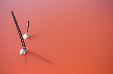 The mass of salt farm salt, sea salt. Before changing the color of the sea salt.の写真素材