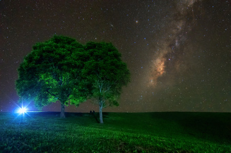 Milky Way above the tree, Doi Samer Dao - Si Nan National Park, Na Noi, Nan.の写真素材