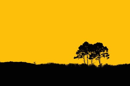 Silhouettes of trees, standing on hill isolated with clipping path.の写真素材