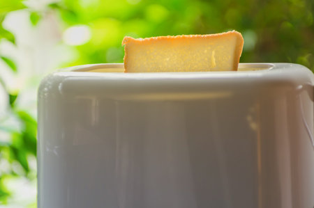 Toaster Breakfast is served on the table natural background.