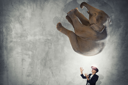 Concept of think big, Young men wearing virtual reality goggles and elephant fall.の写真素材