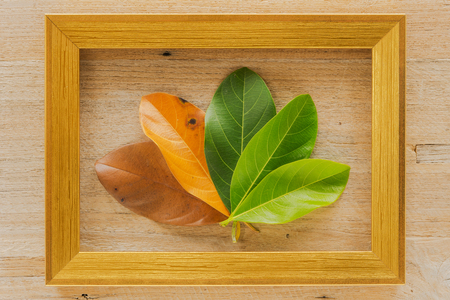 Golden wooden photo frame on wooden board with autumn leaves.の写真素材